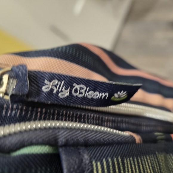 Lily Bloom Multicolor Striped Women's Bag With Multiple Pockets - Picture 4 of 14